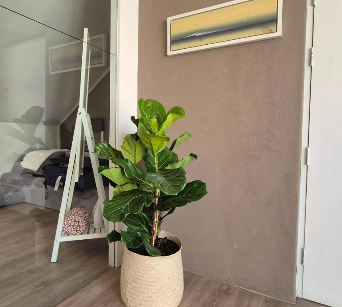 Ferienwohnung The Gardens Nook Kapstadt Apartment